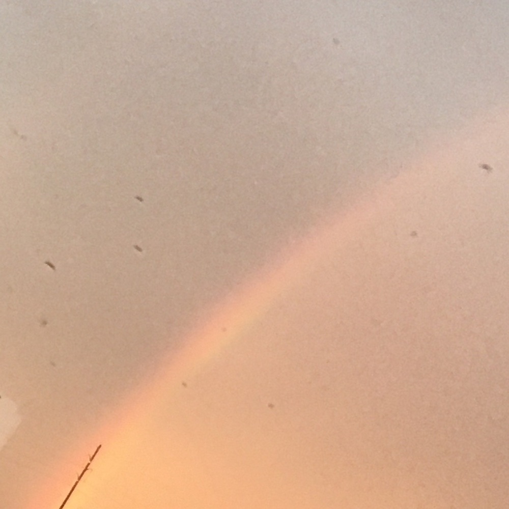 Meet your Posher, Tamiya